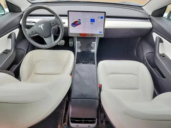 5YJ3E1EC8LF641927 2020 TESLA MODEL 3 - Image 8