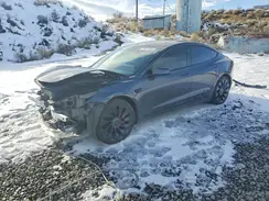 5YJ3E1EC8PF431303 2023 TESLA MODEL 3
