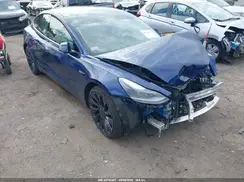 5YJ3E1EC8PF482686 2023 TESLA MODEL 3