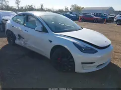 5YJ3E1EC8PF498175 2023 TESLA MODEL 3