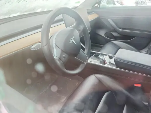 5YJ3E1EC9LF586274 2020 TESLA MODEL 3 - Image 8