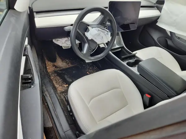 5YJ3E1ECXLF641587 2020 TESLA MODEL 3 - Image 8