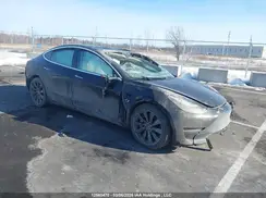 5YJ3E1ECXLF643601 2020 TESLA MODEL 3