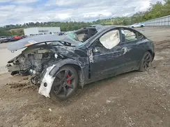 5YJ3E1ET7RF856501 2024 TESLA MODEL 3