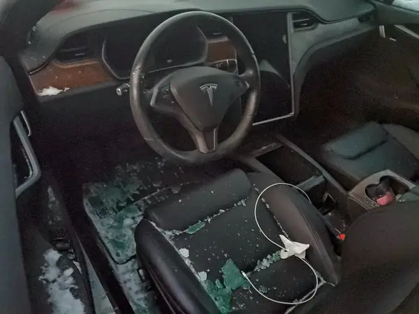 5YJSA1E24LF412160 2020 TESLA MODEL S - Image 8
