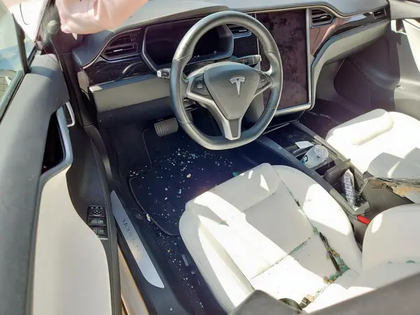 5YJSA1E29LF415023 2020 TESLA MODEL S - Image 8