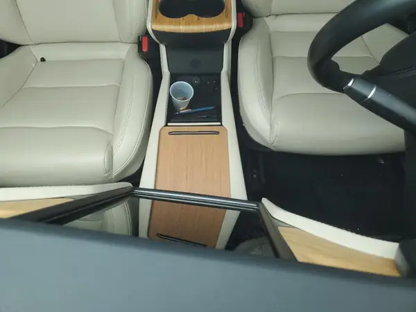 5YJSA1E2XLF403088 2020 TESLA MODEL S - Image 8