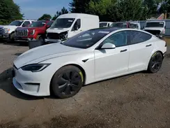 5YJSA1E50PF501031 2023 TESLA MODEL S