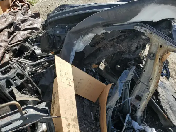 5YJSA1E50PF531288 2023 TESLA MODEL S - Image 8