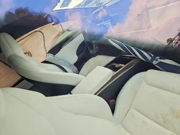 5YJSA1E53NF488451 2022 TESLA MODEL S - Image 8