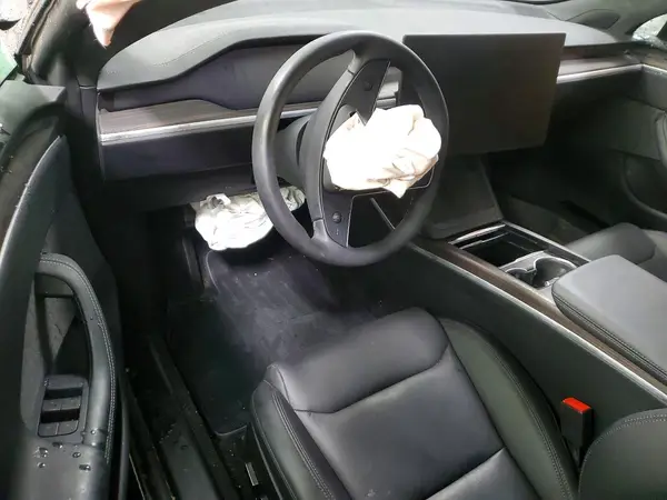 5YJSA1E59PF529572 2023 TESLA MODEL S - Image 8
