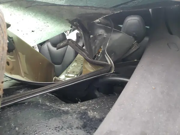 5YJXCAE22LF236001 2020 TESLA MODEL X - Image 8