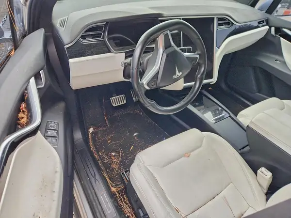 5YJXCBE28HF049357 2017 TESLA MODEL X - Image 8