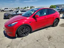 5YJYGAED5MF177084 2021 TESLA MODEL Y