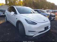 5YJYGAED9MF176519 2021 TESLA MODEL Y