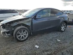 5YJYGAEE0MF160069 2021 TESLA MODEL Y