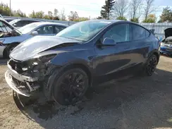 5YJYGAEE0MF187904 2021 TESLA MODEL Y