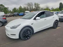 5YJYGAEE0MF232081 2021 TESLA MODEL Y