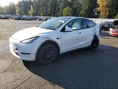 5YJYGAEE0MF283905 2021 TESLA MODEL Y