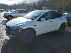 5YJYGAEE1MF111463 2021 TESLA MODEL Y