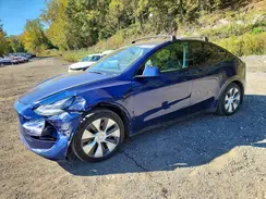 5YJYGAEE1MF148142 2021 TESLA MODEL Y