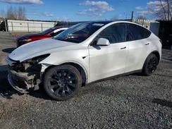 5YJYGAEE1MF203902 2021 TESLA MODEL Y