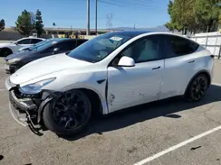 5YJYGAEE2MF157531 2021 TESLA MODEL Y