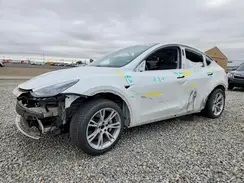 5YJYGAEE2MF172823 2021 TESLA MODEL Y