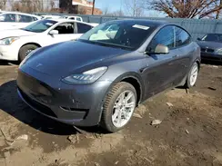5YJYGAEE3MF185533 2021 TESLA MODEL Y