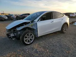 5YJYGAEE3MF196743 2021 TESLA MODEL Y