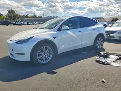 5YJYGAEE3MF272428 2021 TESLA MODEL Y