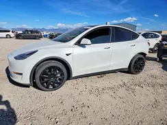 5YJYGAEE4MF136650 2021 TESLA MODEL Y