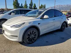 5YJYGAEE4MF160091 2021 TESLA MODEL Y