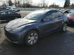 5YJYGAEE4MF200914 2021 TESLA MODEL Y