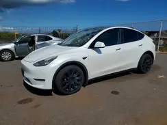 5YJYGAEE4MF251037 2021 TESLA MODEL Y