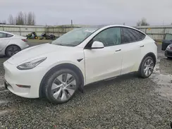 5YJYGAEE5MF196386 2021 TESLA MODEL Y
