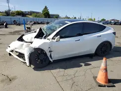 5YJYGAEE6MF143843 2021 TESLA MODEL Y