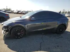 5YJYGAEE6MF244347 2021 TESLA MODEL Y