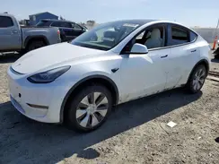 5YJYGAEE7MF211356 2021 TESLA MODEL Y