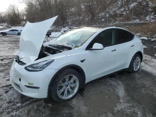 5YJYGAEE7MF281875 2021 TESLA MODEL Y - Image 1