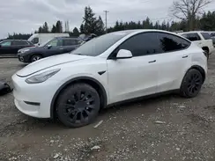 5YJYGAEE7MF295713 2021 TESLA MODEL Y