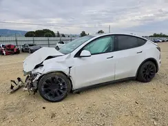 5YJYGAEE7MF300702 2021 TESLA MODEL Y