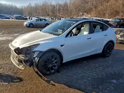 5YJYGAEE8MF252210 2021 TESLA MODEL Y