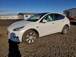 5YJYGAEE8MF258881 2021 TESLA MODEL Y