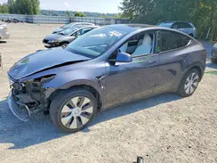 5YJYGAEE8MF301504 2021 TESLA MODEL Y