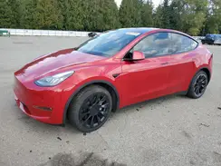 5YJYGAEEXMF180801 2021 TESLA MODEL Y