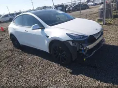 5YJYGDED2MF133223 2021 TESLA MODEL Y