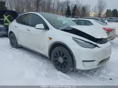 5YJYGDED5MF116786 2021 TESLA MODEL Y