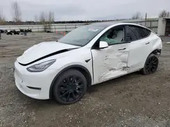 5YJYGDED6MF121446 2021 TESLA MODEL Y