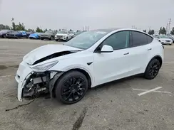 5YJYGDED7MF125909 2021 TESLA MODEL Y